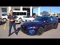 Is the 2020 Ford Mustang GT PP1 the BEST all-around Muscle Car?