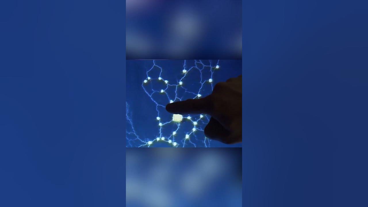 Умная слизь решает инженерные задачи. Слизевик - YouTube