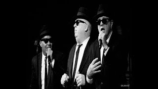 The Original Blues Brothers Band