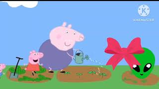 Peppa Gcbc Add Round 1