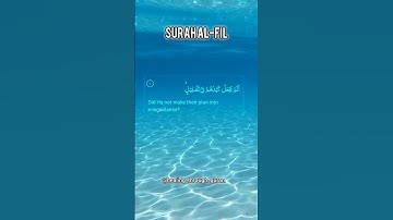 Surah Al-Fil (The Elephant(سورةالفيل)#quran