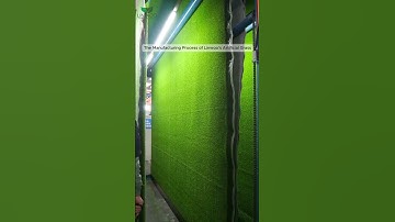 The Manufacturing Process of Linwoo’s Artificial Grass