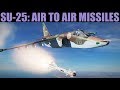 Su-25 Frogfoot: Air To Air Missiles Tutorial | DCS WORLD