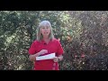 Ask Annissa: Profits and Ethics