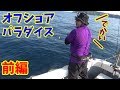 オフショアジギングでメーター鰤と激闘！【飛島】