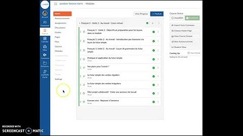 Lesson Module on MyMCPS Classroom