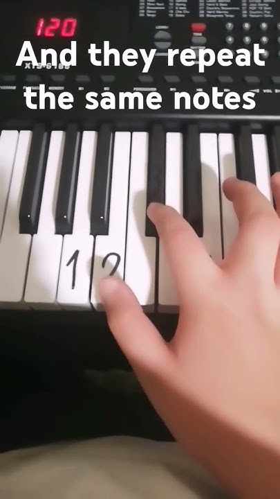 How To Play Fallen Down On The Piano how to play fallen down in a piano #viral #undertale #piano #pianomusic