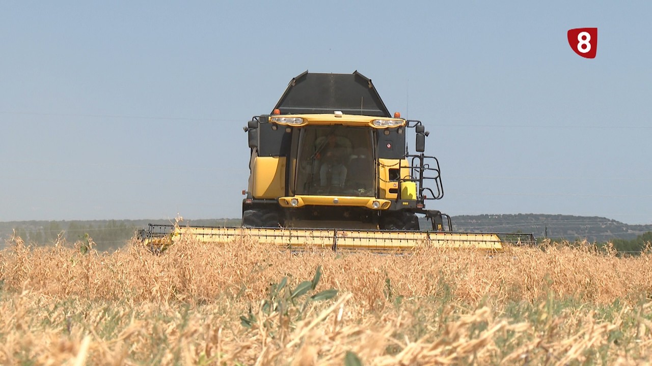 'Campo Palentino' (10-9-2026)