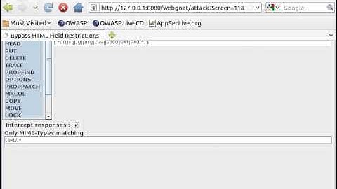 WEBGOAT V5.3 - Bypass HTML Field Restrictions