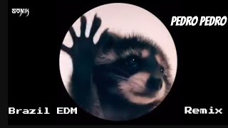 Pedro Pedro - Brazil EDM Remix { Racoon Dance } TIKTOK Trends 2024 [ SONIK Remix ]