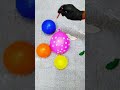 Balloon burst ASMR | Sound ASMR #balloon #poppballons #relaxingsounds