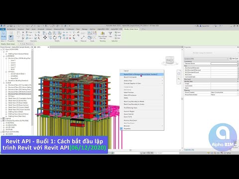 Alpha BIM | Lập trình Revit API - Buổi 1: Cách bắt đầu lập trình Revit với Revit API(06/12/2020).