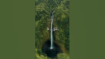 واتس اب قران كريم القارئ شريف مصطفى من سورة (المجادلة)