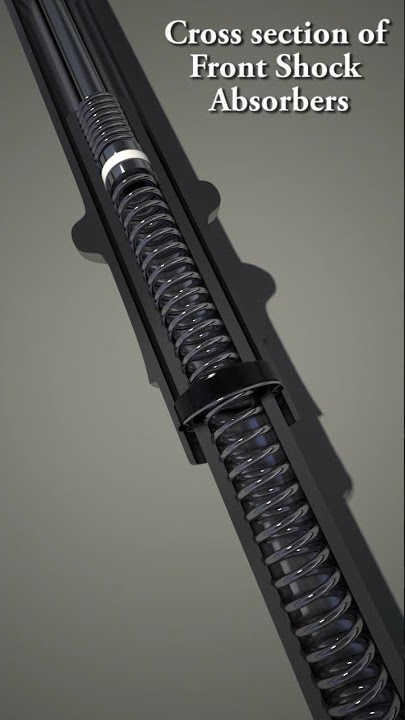 Front shock absorber sectioned