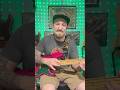 Octave tap #funk #rock #bass #guitar #live #music #shorts