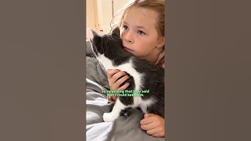 Foster Kitten