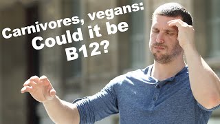 Carnivores and Vegans: Could it be B12?