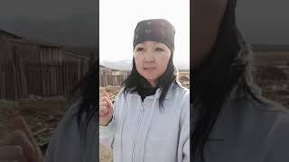 Заработок в телефоне, Обучение ‼️ Сибирское Здоровье #siberianwellness #доходонлайн  #деньгионлайн