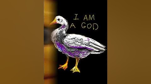 7 Sentences Spelt the Same Backwards and Forwards (Palindromes)