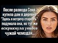 После развода Гавань души После развода Гавань души