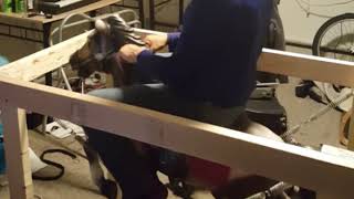 overclocked horse