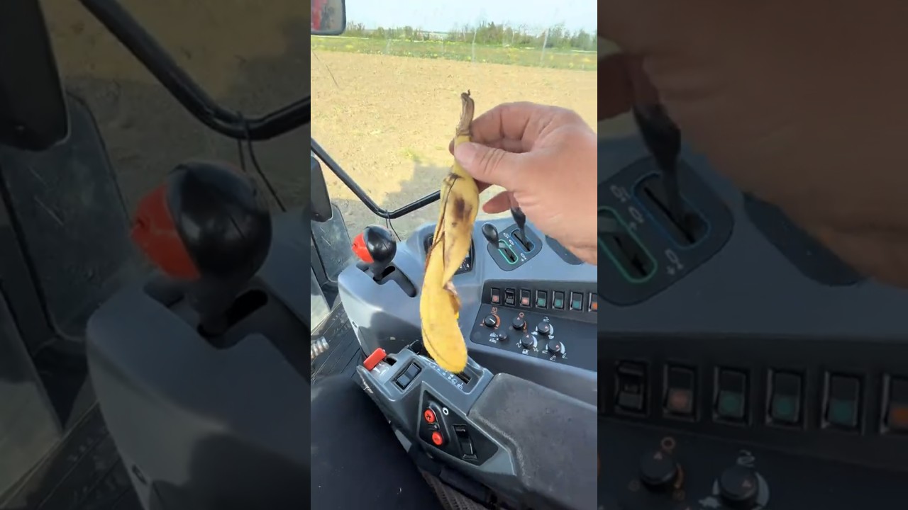 The tractor couldn't move forward after driving over the banana peels. #comedy #farm