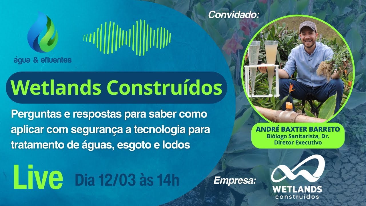 Wetlands Construídos - Perguntas e respostas sobre esta incrível tecnologia de tratamento