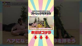 ストレッチはスパルタでないと‼️ #Shorts