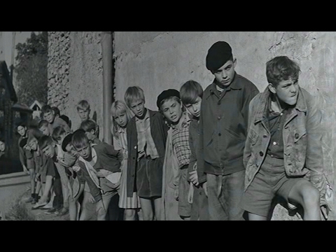 Schulfilm: Krieg der Knöpfe (DVD / Vorschau)