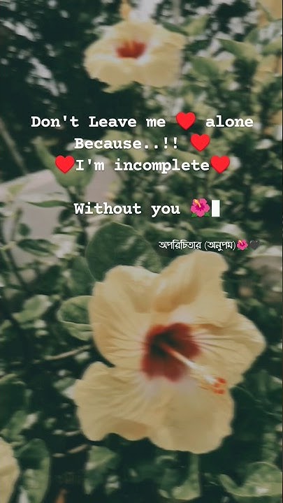 Don t Leave Me Alone Because I m Incomplete Without You never-leave-me-alone-i-m-incomplete-without-you-youtube