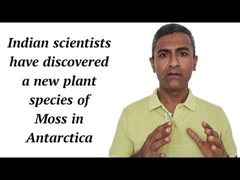 Video: Scientists Have Discovered A New Carnivorous Plant - Alternative View