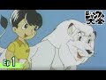 New Jungle Emperor, Go ahead Leo! Episode1『 The white king』