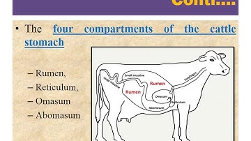 Feed and fodder and its classification