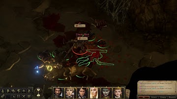 Pathfinder: Kingmaker- Immortality Bug