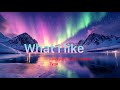 Rvssian, Moliy, Ayetian, Tyga - What i Like (Lyrics)