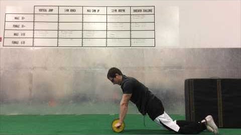 Fitness Pollenator - Ab Wheel Rollout Progresion