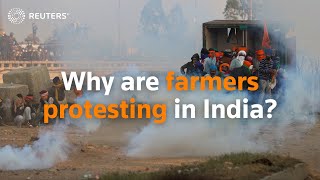 India: Why are farmers protesting again? | REUTERS
