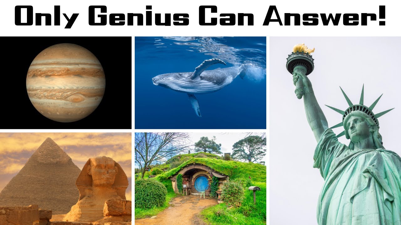 20-true-or-false-general-knowledge-questions-score-15-or-more-to-be-a