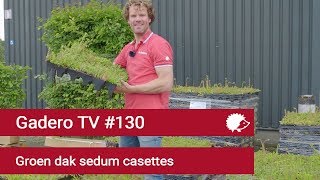 #130 Groen dak maken - sedum dakbedekking cassettes