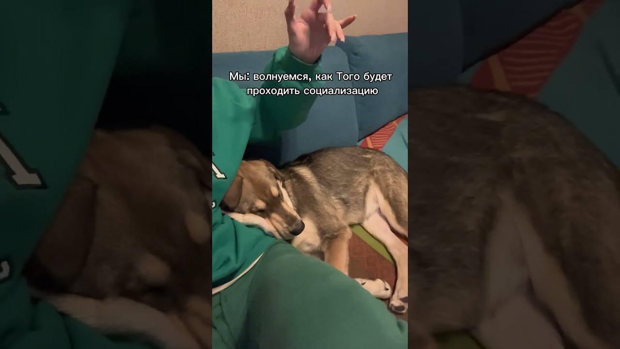 Очень очень добродушный Того ❤️