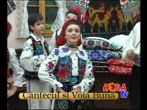Lavinia Mateiu - Ne-am bagat la voi in casa