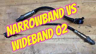 Narrowband vs Wideband AFR Gauge