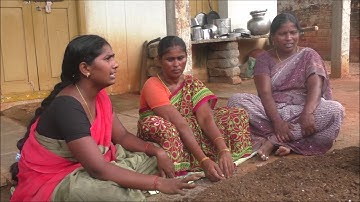 Trichoderma viridi culturing_DoAg&DigitalGreen_Oct-2016_Krishna_A.P.