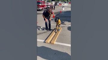 Tiny firefighter shows off impressive strength