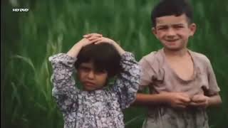 فلم باشو الغريب الصغير /فلم ايراني /عن طفل عراقي نجى من الحرب واحترق بيته فلم جميل وقصه رائعه