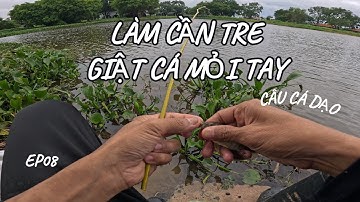 LÀM CẦN CÂU TRE, GIẬT CÁ MỎI TAY| EP08 #câucá #fishing