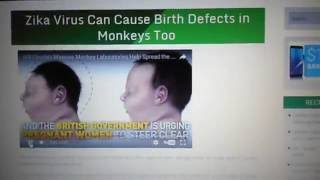 Zika Virus Can Cause Birth Defects in Monkeys Too