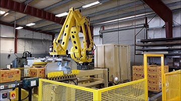 Robotic Palleting   Multiple Cases   Fanuc