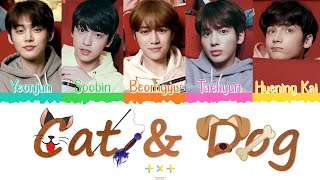 🐱🐶 TXT (투모로우바이투게더) - Cat & Dog [Color Coded Lyrics Han|Rom|Esp] 🐶🐱