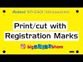 Roland sp540i : Printing & Cutting with Crop Marks in Versaworks